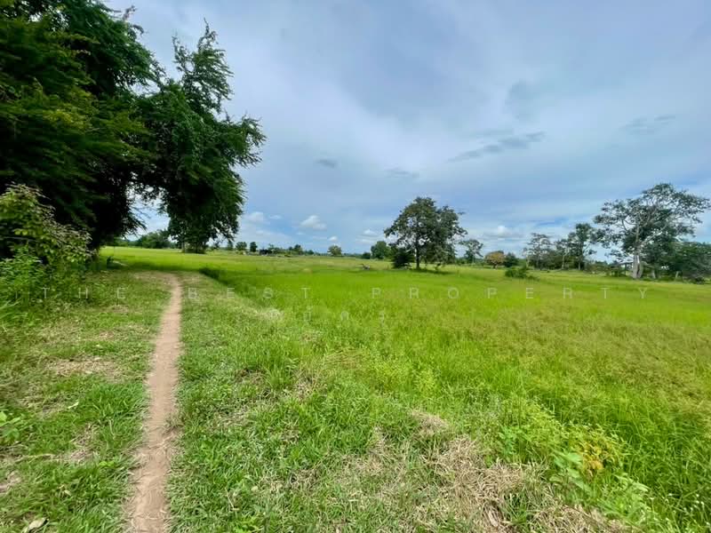ที่ดินบ้านไผ่ ขอนแก่น, ขอนแก่น, ในเมือง, บ้านไผ่, ขอนแก่น, 4,859 ตร.ม., ที่ดิน ขาย, โดย The Best Property อัคร, 500491556 - DDproperty.com