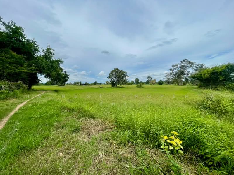ที่ดินบ้านไผ่ ขอนแก่น, ขอนแก่น, ในเมือง, บ้านไผ่, ขอนแก่น, 4,859 ตร.ม., ที่ดิน ขาย, โดย The Best Property อัคร, 500491556 - DDproperty.com