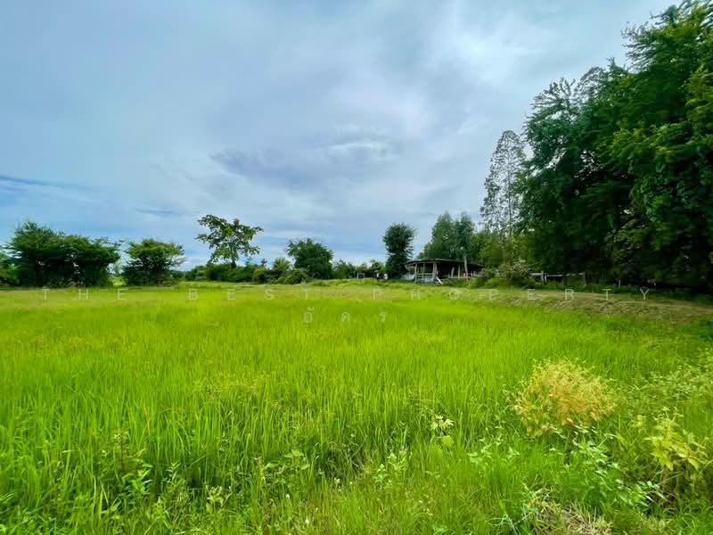 ที่ดินบ้านไผ่ ขอนแก่น, ขอนแก่น, ในเมือง, บ้านไผ่, ขอนแก่น, 4,859 ตร.ม., ที่ดิน ขาย, โดย The Best Property อัคร, 500491556 - DDproperty.com
