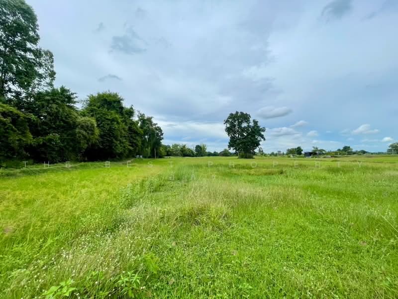 ที่ดินบ้านไผ่ ขอนแก่น, ขอนแก่น, ในเมือง, บ้านไผ่, ขอนแก่น, 4,859 ตร.ม., ที่ดิน ขาย, โดย The Best Property อัคร, 500491556 - DDproperty.com