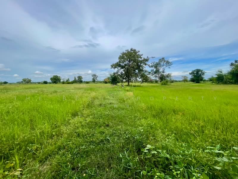 ที่ดินบ้านไผ่ ขอนแก่น, ขอนแก่น, ในเมือง, บ้านไผ่, ขอนแก่น, 4,859 ตร.ม., ที่ดิน ขาย, โดย The Best Property อัคร, 500491556 - DDproperty.com