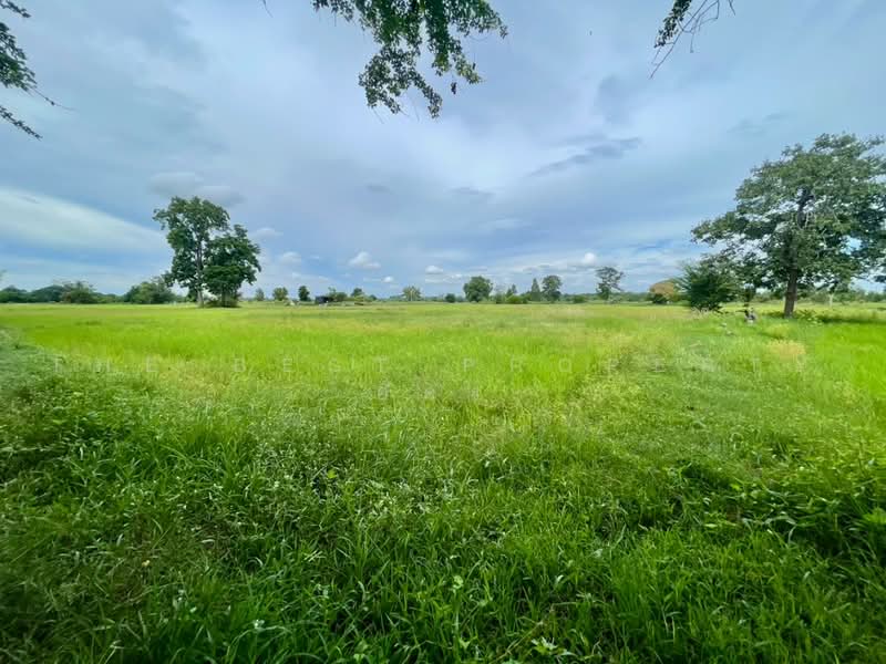 ที่ดินบ้านไผ่ ขอนแก่น, Khon Kaen, Nai Muang, Ban Phai, Khon Kaen, , 4,859 sqm, Land For Sale, by The Best Property อัคร, 500491556 - DDproperty.com
