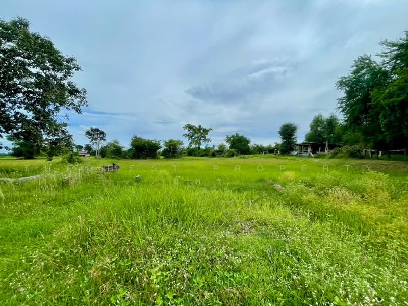 ที่ดินบ้านไผ่ ขอนแก่น, ขอนแก่น, ในเมือง, บ้านไผ่, ขอนแก่น, 4,859 ตร.ม., ที่ดิน ขาย, โดย The Best Property อัคร, 500491556 - DDproperty.com