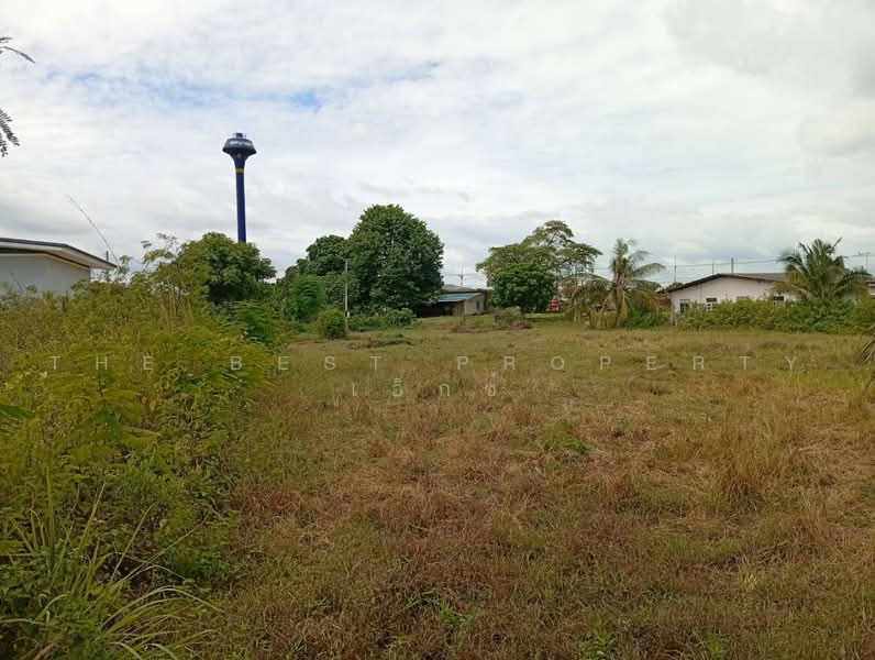 ที่ดินบ้านโป่ง ราชบุรี, ราชบุรี, กรับใหญ่, บ้านโป่ง, ราชบุรี, 1,966 ตร.ม., ที่ดิน ขาย, โดย The Best Property เอ็กซ์, 500491564 - DDproperty.com
