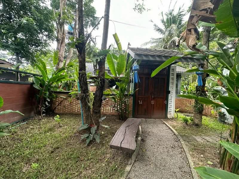 บ้านเดี่ยว ให้เช่าโซนป่าแดด, เชียงใหม่, ป่าแดด, เมืองเชียงใหม่, เชียงใหม่, 85 ตร.ม., บ้านเดี่ยว ให้เช่า, โดย อามร ยืนยง, 500491613 - DDproperty.com