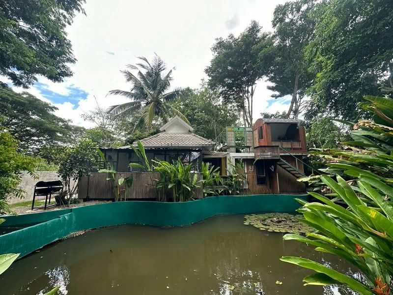 บ้านเดี่ยว ให้เช่าโซนป่าแดด, เชียงใหม่, ป่าแดด, เมืองเชียงใหม่, เชียงใหม่, 85 ตร.ม., บ้านเดี่ยว ให้เช่า, โดย อามร ยืนยง, 500491613 - DDproperty.com