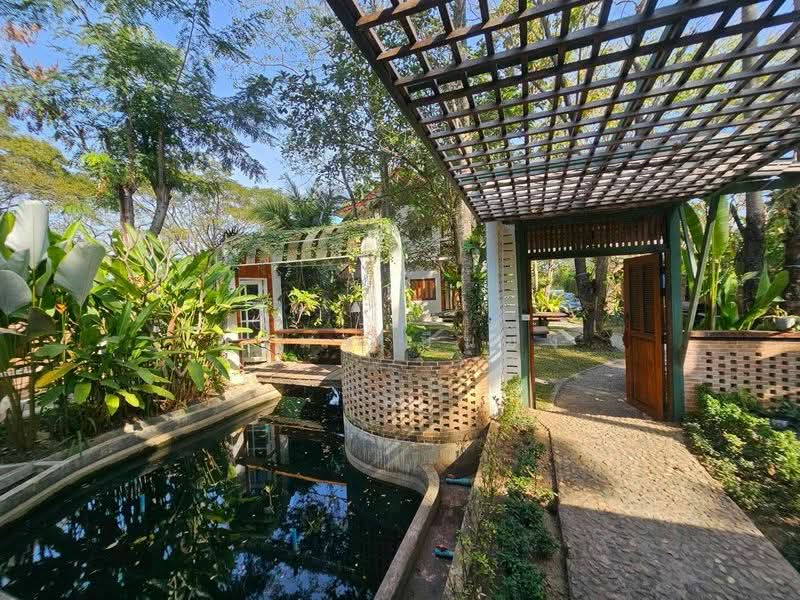 บ้านเดี่ยว ให้เช่าโซนป่าแดด, Chiang Mai, Pa Daet, Muang Chiang Mai, Chiang Mai, 2 Bedrooms, 85 sqm, Single Detached House For Rent, by Armon Yuenyong, 500491613 - DDproperty.com