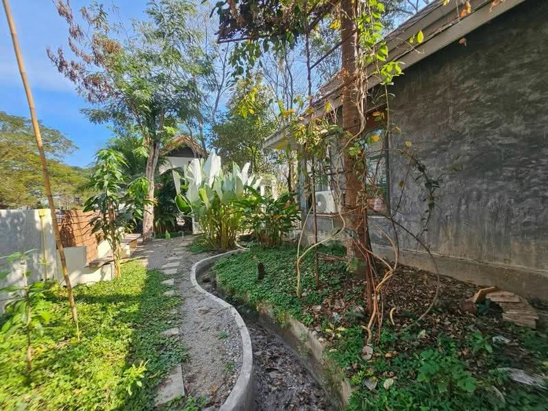 บ้านเดี่ยว ให้เช่าโซนป่าแดด, Chiang Mai, Pa Daet, Muang Chiang Mai, Chiang Mai, 2 Bedrooms, 85 sqm, Single Detached House For Rent, by Armon Yuenyong, 500491613 - DDproperty.com