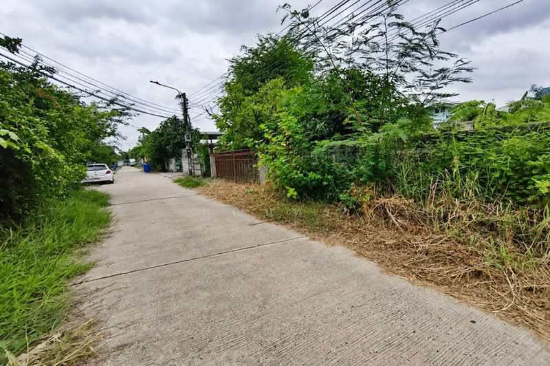 ซอยแบริ่ง 54, สมุทรปราการ, ถนนแบริ่ง สุขุมวิท 107, สำโรงเหนือ, เมืองสมุทรปราการ, สมุทรปราการ, 468 ตร.ม., ที่ดิน ขาย, โดย คุณนทร, 500491696 - DDproperty.com