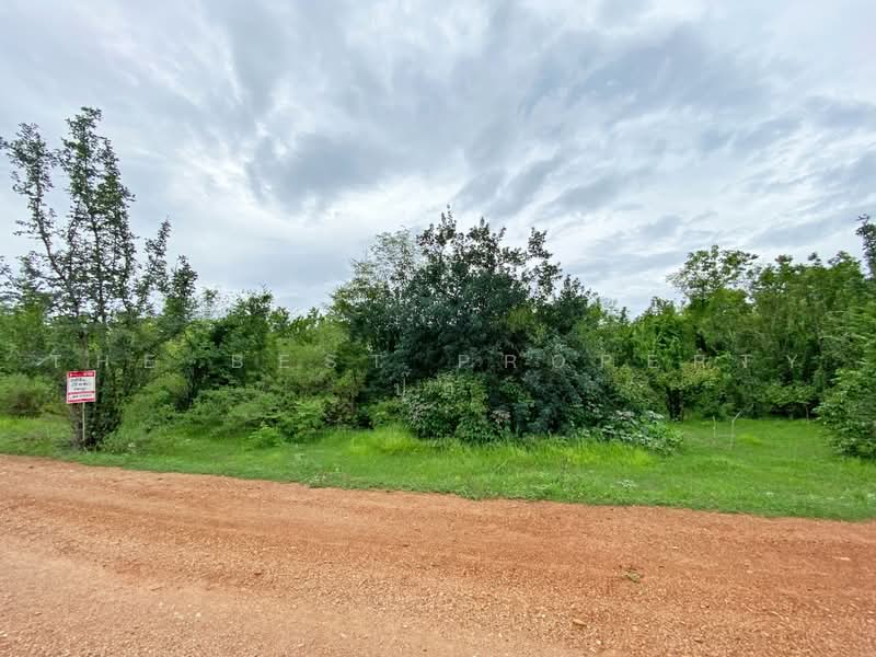 ที่ดินอู่ทอง สุพรรณบุรี, Suphan Buri, Phapphachai, U Thong, Suphan Buri, , 1,876 sqm, Land For Sale, by The Best Property ปุ๊ก, 500491800 - DDproperty.com