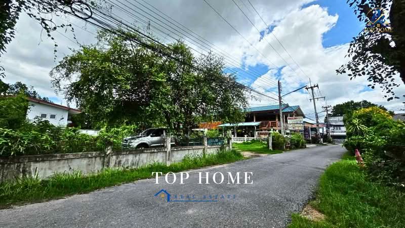 ขายที่ดินเปล่า ทำเลดีมาก ใกล้หาดสุขเสมอ ชะอำ จ.เพชรบุรี, เพชรบุรี, ชะอำ, เพชรบุรี, 336 ตร.ม., ที่ดิน ขาย, โดย คุณเเจง, 500491803 - DDproperty.com