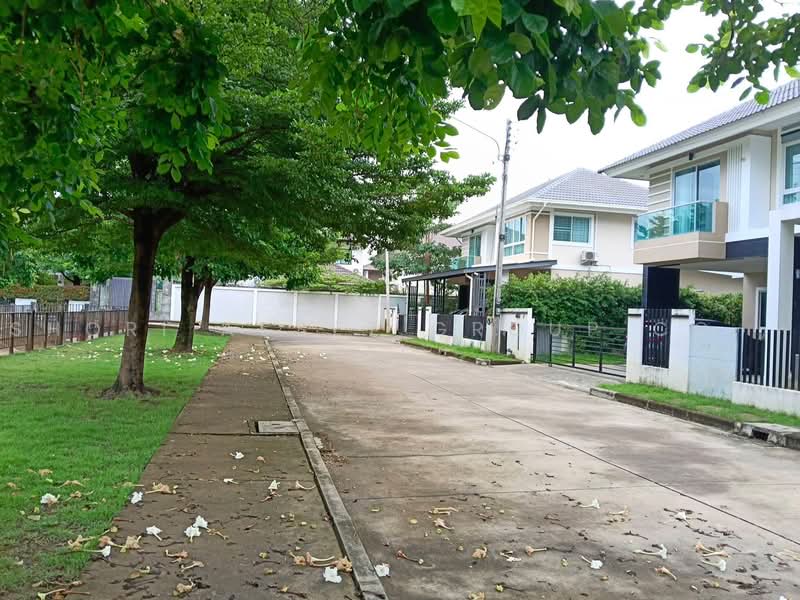 Baan Karnkanok 12 : บ้านกาญจน์กนก 12, เชียงใหม่, ซุปเปอร์ไฮเวย์เชียงใหม่, ไชยสถาน, สารภี, เชียงใหม่, 240 ตร.ม., บ้านเดี่ยว ขาย, โดย Shori Asset Group Co., Ltd., 500491905 - DDproperty.com