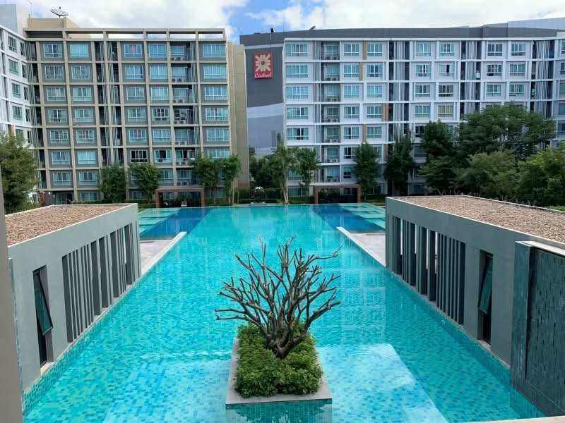 Dcondo Rin, Chiang Mai, Super Highway Rd. Chiang Mai - Lampang, Fa Ham, Muang Chiang Mai, Chiang Mai, 1 Bedroom, 30 sqm, Condo For Rent, by คุณ ธีรชาติ, 500491930 - DDproperty.com