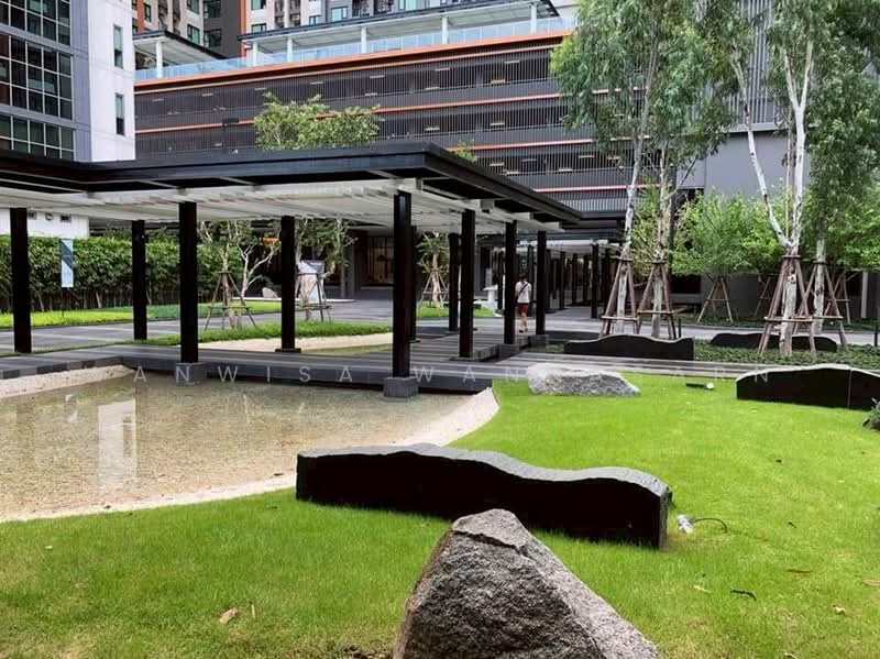 Life Asoke, Bangkok, Asoke-Dindang Road, Bang Kapi, Huai Khwang, Bangkok, 1 Bedroom, 36 sqm, Condo For Rent, by Wanwisa Wannasarn, 500491988 - DDproperty.com