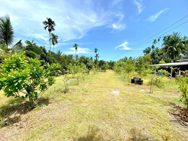 Land for sale in Takhan, with a fruit orchard, 2 rai, Rayong, Ta Khan, Ban Khai, Rayong, , 4,056 sqm, Land For Sale, by RICHWELL INTERPLUS, 500492011 - DDproperty.com