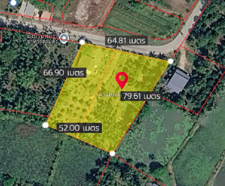 Land for sale in Takhan, with a fruit orchard, 2 rai, Rayong, Ta Khan, Ban Khai, Rayong, , 4,056 sqm, Land For Sale, by RICHWELL INTERPLUS, 500492011 - DDproperty.com