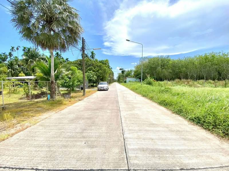 Land for sale in Takhan, with a fruit orchard, 2 rai, Rayong, Ta Khan, Ban Khai, Rayong, , 4,056 sqm, Land For Sale, by RICHWELL INTERPLUS, 500492011 - DDproperty.com