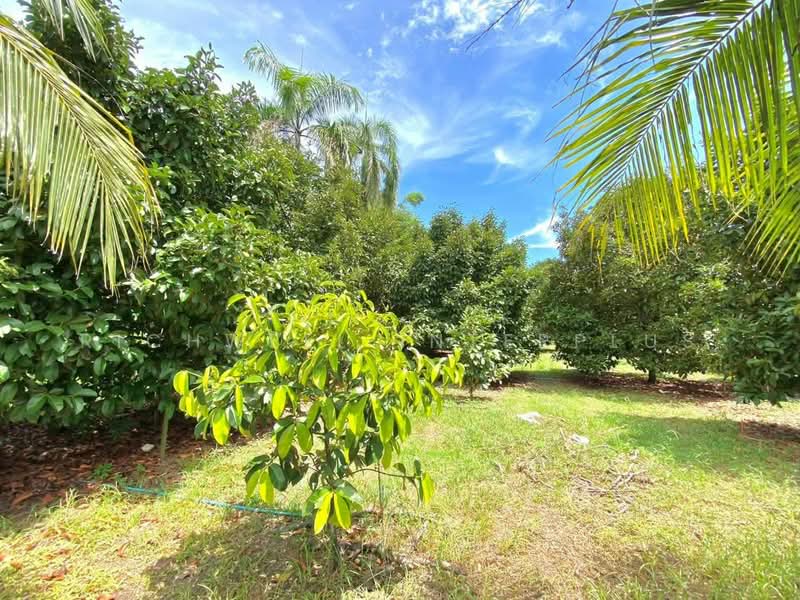 Land for sale in Takhan, with a fruit orchard, 2 rai, Rayong, Ta Khan, Ban Khai, Rayong, , 4,056 sqm, Land For Sale, by RICHWELL INTERPLUS, 500492011 - DDproperty.com
