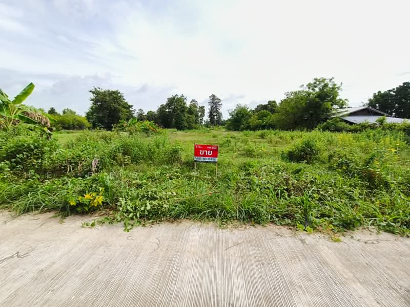 ที่ดินปราสาท สุรินทร์, สุรินทร์, ตานี, ปราสาท, สุรินทร์, 11,200 ตร.ม., ที่ดิน ขาย, โดย The Best Property ยุ, 500492078 - DDproperty.com