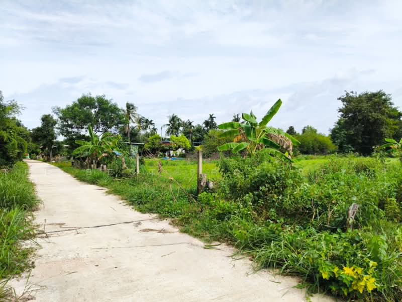 ที่ดินปราสาท สุรินทร์, สุรินทร์, ตานี, ปราสาท, สุรินทร์, 11,200 ตร.ม., ที่ดิน ขาย, โดย The Best Property ยุ, 500492078 - DDproperty.com