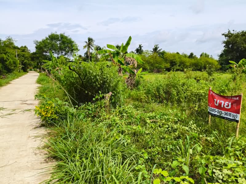 ที่ดินปราสาท สุรินทร์, สุรินทร์, ตานี, ปราสาท, สุรินทร์, 11,200 ตร.ม., ที่ดิน ขาย, โดย The Best Property ยุ, 500492078 - DDproperty.com