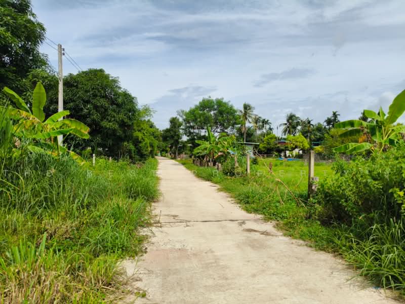 ที่ดินปราสาท สุรินทร์, สุรินทร์, ตานี, ปราสาท, สุรินทร์, 11,200 ตร.ม., ที่ดิน ขาย, โดย The Best Property ยุ, 500492078 - DDproperty.com