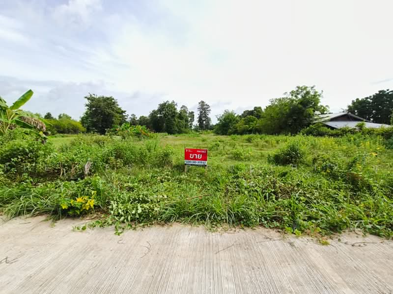 ที่ดินปราสาท สุรินทร์, Surin, Ta Ni, Phrasat, Surin, , 11,200 sqm, Land For Sale, by The Best Property ยุ, 500492078 - DDproperty.com