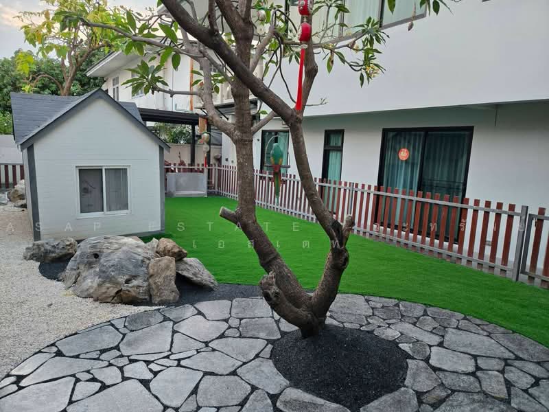 ให้เช่าบ้านเดี่ยว 5 ห้องนอนสุดพิเศษ ย่านโชคชัย 4 | Pet Friendly | 165,000 บาท/เดือน, กรุงเทพ, ลาดพร้าว, กรุงเทพ, 350 ตร.ม., บ้านเดี่ยว ขาย, โดย ASAP ESTATE อะทรัพย์ เอสเตท, 500492111 - DDproperty.com