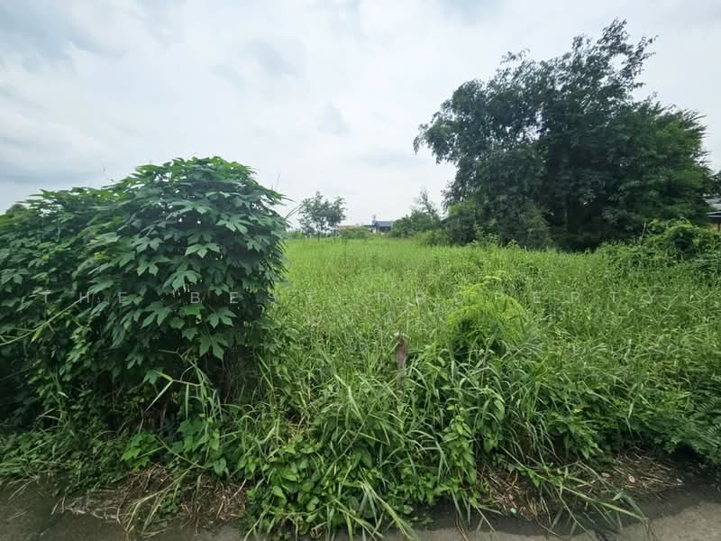 ที่ดินพนัสนิคม ชลบุรี, Chon Buri (Pattaya), Ban Chang, Phanat Nikhom, Chon Buri (Pattaya), , 4,880 sqm, Land For Sale, by The Best Property แนน, 500492142 - DDproperty.com