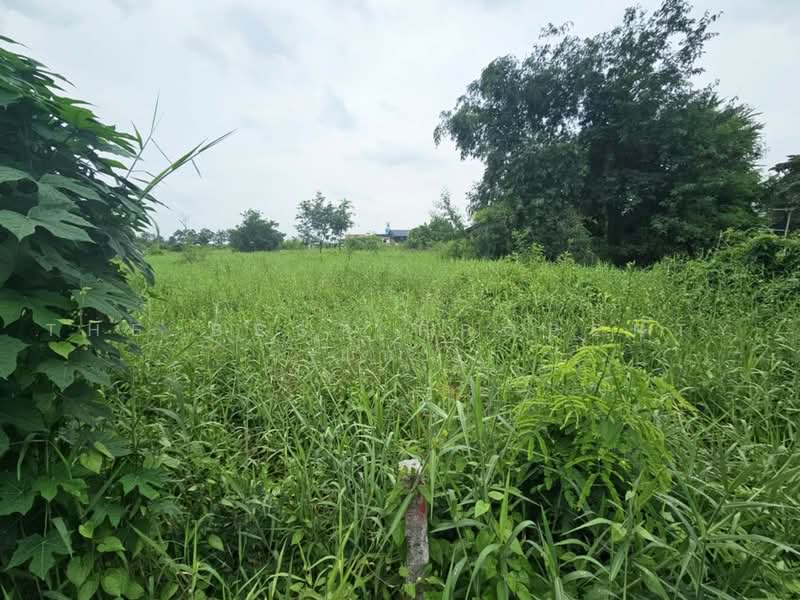 ที่ดินพนัสนิคม ชลบุรี, Chon Buri (Pattaya), Ban Chang, Phanat Nikhom, Chon Buri (Pattaya), , 4,880 sqm, Land For Sale, by The Best Property แนน, 500492142 - DDproperty.com