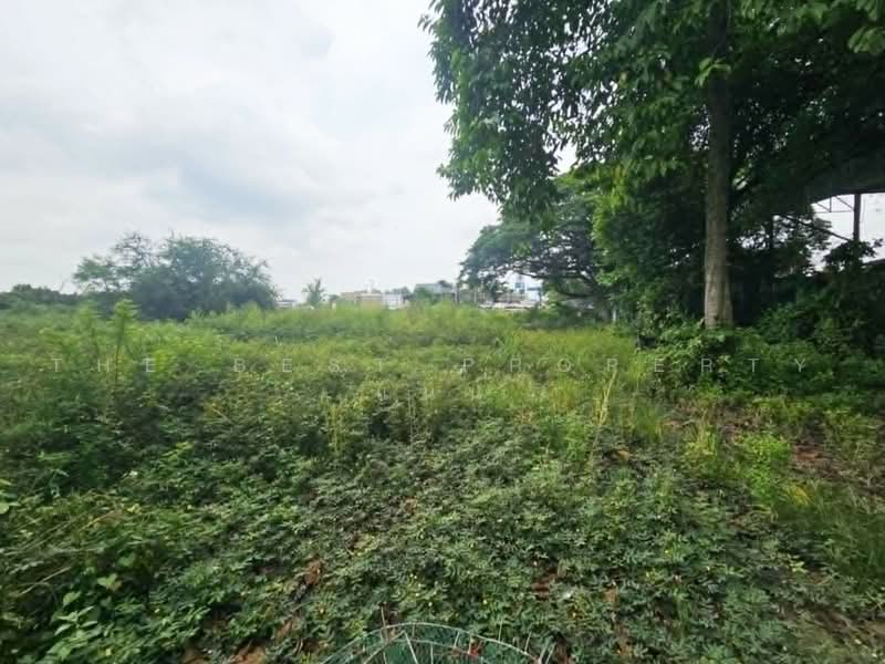 ที่ดินพนัสนิคม ชลบุรี, Chon Buri (Pattaya), Ban Chang, Phanat Nikhom, Chon Buri (Pattaya), , 4,880 sqm, Land For Sale, by The Best Property แนน, 500492142 - DDproperty.com