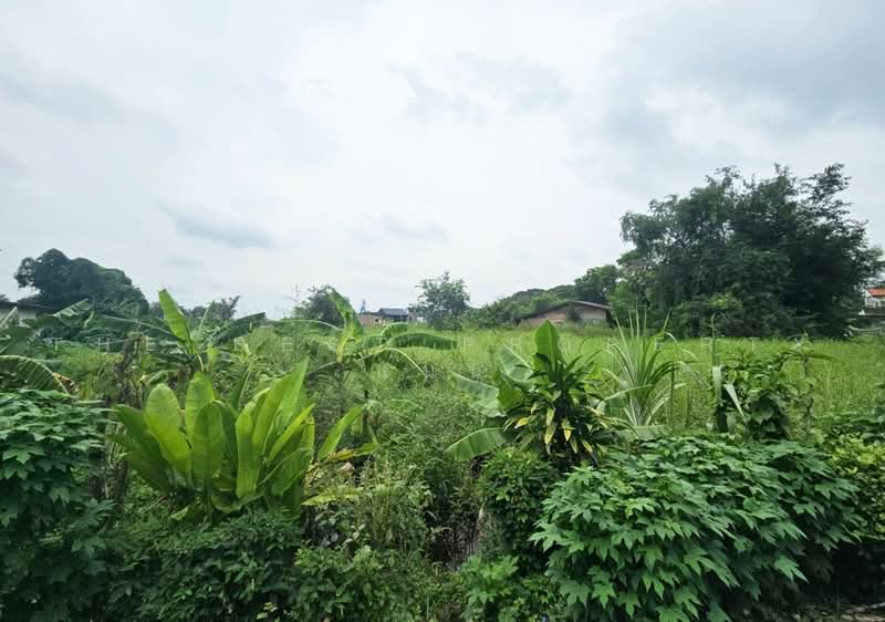 ที่ดินพนัสนิคม ชลบุรี, Chon Buri (Pattaya), Ban Chang, Phanat Nikhom, Chon Buri (Pattaya), , 4,880 sqm, Land For Sale, by The Best Property แนน, 500492142 - DDproperty.com