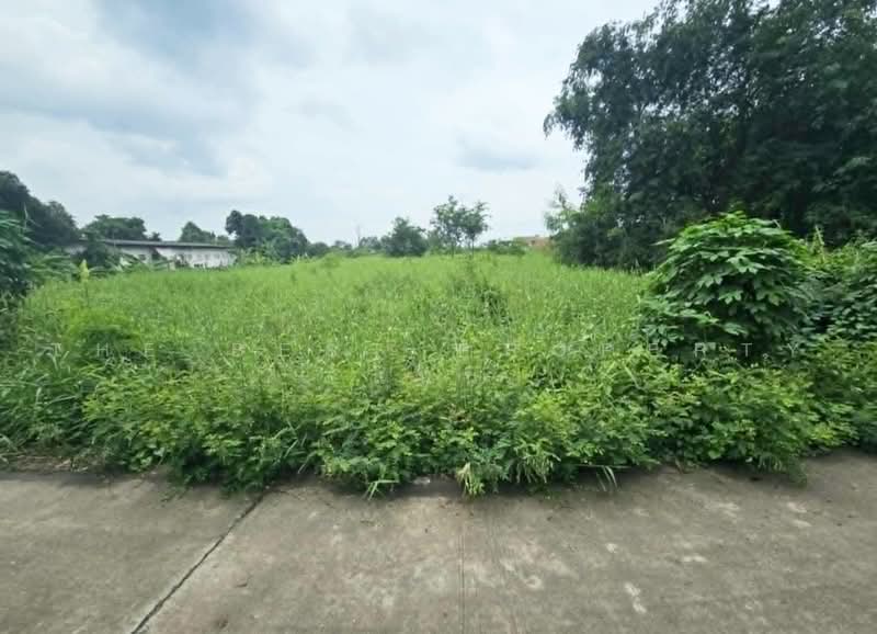 ที่ดินพนัสนิคม ชลบุรี, Chon Buri (Pattaya), Ban Chang, Phanat Nikhom, Chon Buri (Pattaya), , 4,880 sqm, Land For Sale, by The Best Property แนน, 500492142 - DDproperty.com