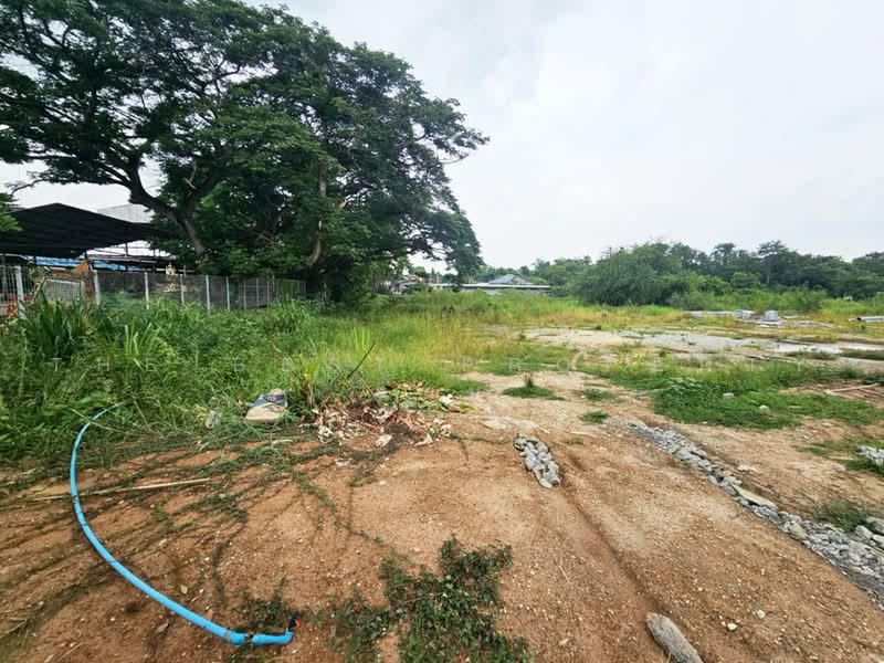 ที่ดินพนัสนิคม ชลบุรี, Chon Buri (Pattaya), Ban Chang, Phanat Nikhom, Chon Buri (Pattaya), , 4,880 sqm, Land For Sale, by The Best Property แนน, 500492142 - DDproperty.com