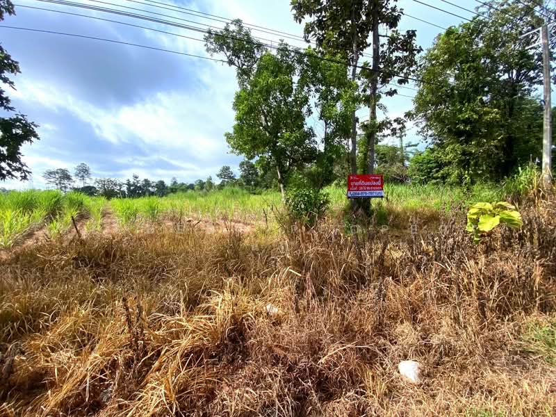 ที่ดินนาจารย์ กาฬสินธุ์, Kalasin, Na Jarn, Muang Kalasin, Kalasin, , 45,180 sqm, Land For Sale, by The Best Property นก, 500492154 - DDproperty.com