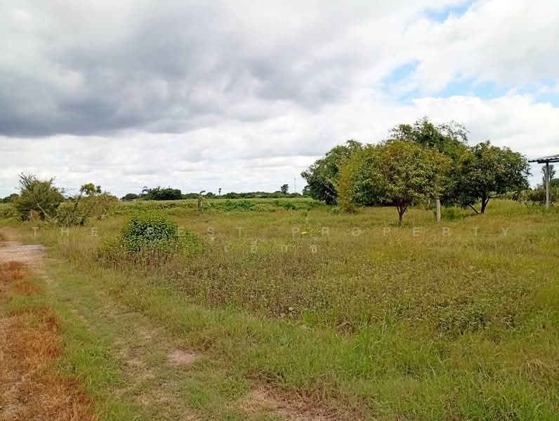 ที่ดินหนองงูเหลือม นครปฐม, Nakhon Pathom, Nong Ngu Luam, Muang Nakhon Pathom, Nakhon Pathom, , 4,808 sqm, Land For Sale, by The Best Property เอ็กซ์, 500492167 - DDproperty.com