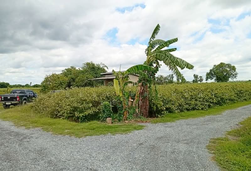ที่ดินหนองงูเหลือม นครปฐม, Nakhon Pathom, Nong Ngu Luam, Muang Nakhon Pathom, Nakhon Pathom, , 4,808 sqm, Land For Sale, by The Best Property เอ็กซ์, 500492167 - DDproperty.com