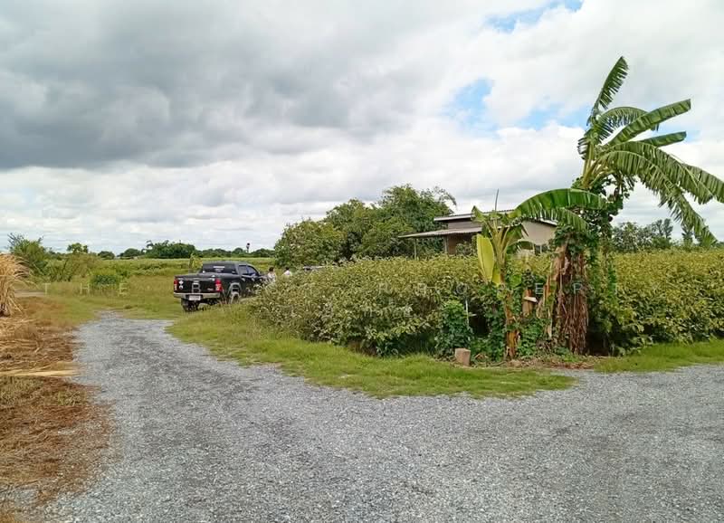 ที่ดินหนองงูเหลือม นครปฐม, Nakhon Pathom, Nong Ngu Luam, Muang Nakhon Pathom, Nakhon Pathom, , 4,808 sqm, Land For Sale, by The Best Property เอ็กซ์, 500492167 - DDproperty.com