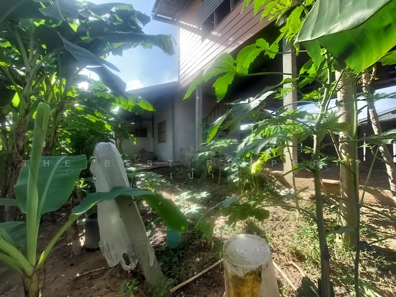 ที่ดินพร้อมบ้านไซย อุดรธานี, Udon Thani, Chai Wan, Udon Thani, , 156 sqm, Land For Sale, by The Best Property เป้า, 500492200 - DDproperty.com