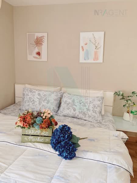 Regent Home 6/1 Prachachuen : รีเจ้นท์โฮม 6/1 ประชาชื่น, กรุงเทพ, 6-1 ซอย พงษ์เพชรนิเวศน์แยก, จตุจักร, กรุงเทพ, 31 ตร.ม., คอนโด ขาย, โดย NR AGENT, 500492297 - DDproperty.com