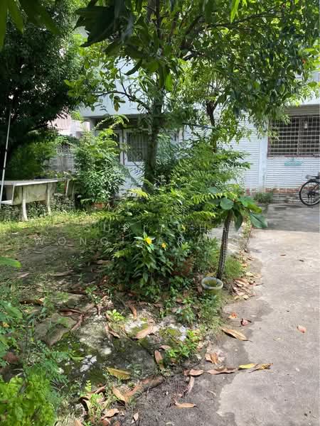 3-BR House, Bangkok, Nong Bon, Prawet, Bangkok, 3 Bedrooms, 150 sqm, Single Detached House For Sale, by Supitcha Wongisaraseri, 500492383 - DDproperty.com
