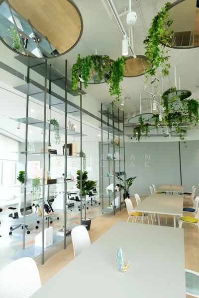 Fully furnished office For Rent 403 sqm. Skywalk to BTS, กรุงเทพ, Sukhumvit, บางนาเหนือ, บางนา, กรุงเทพ, 403 ตร.ม., สำนักงาน ให้เช่า, โดย Suphanan Saengsak, 500492404 - DDproperty.com