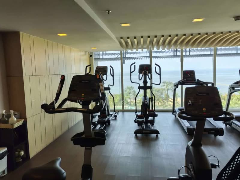 Cetus Beachfront : ซีตัส บีชฟรอนท์, ชลบุรี, หมู่ที่ 12 422 Jomtiensaineung Rd, นาเกลือ, บางละมุง, ชลบุรี, 40 ตร.ม., คอนโด ขาย, โดย Tanawan Surichai, 500492411 - DDproperty.com