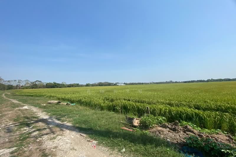 ถนนนิมิตรใหม่ ซอยวัดสุขใจ 14 คลองสามวา, Bangkok, ถนนนิมิตรใหม่, Sai Kong Din, Khlong Sam Wa, Bangkok, , 46,660 sqm, Land For Sale, by คุณแจ่ม, 500492457 - DDproperty.com