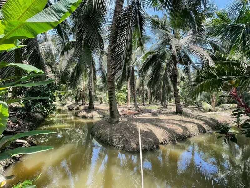 ที่ดินนครชัยศรี นครปฐม, Nakhon Pathom, Bang Rakam, Nakhon Chai Sri, Nakhon Pathom, , 53,280 sqm, Land For Sale, by The Best Property แอ๋ว, 500492529 - DDproperty.com