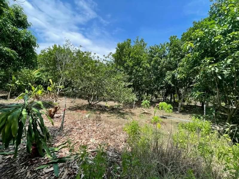 ที่ดินนครชัยศรี นครปฐม, Nakhon Pathom, Bang Rakam, Nakhon Chai Sri, Nakhon Pathom, , 53,280 sqm, Land For Sale, by The Best Property แอ๋ว, 500492529 - DDproperty.com