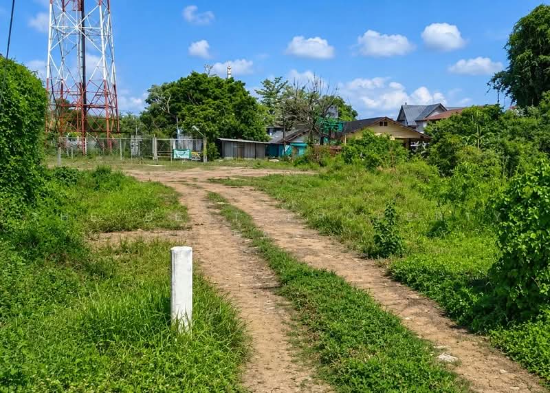 ที่ดินหนองจอก กรุงเทพมหานคร, Bangkok, Lam Toi Ting, Nong Chok, Bangkok, , 1,272 sqm, Land For Sale, by The Best Property ต้อย, 500492559 - DDproperty.com