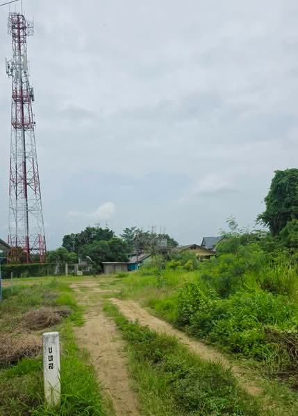 ที่ดินหนองจอก กรุงเทพมหานคร, กรุงเทพ, ลำต้อยติ่ง, หนองจอก, กรุงเทพ, 1,272 ตร.ม., ที่ดิน ขาย, โดย The Best Property ต้อย, 500492559 - DDproperty.com