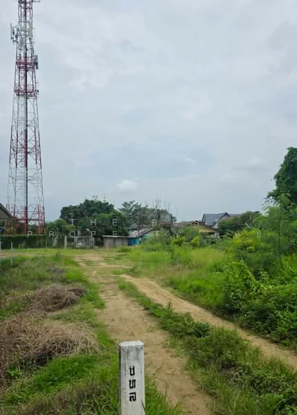 ที่ดินหนองจอก กรุงเทพมหานคร, กรุงเทพ, ลำต้อยติ่ง, หนองจอก, กรุงเทพ, 1,272 ตร.ม., ที่ดิน ขาย, โดย The Best Property ต้อย, 500492559 - DDproperty.com