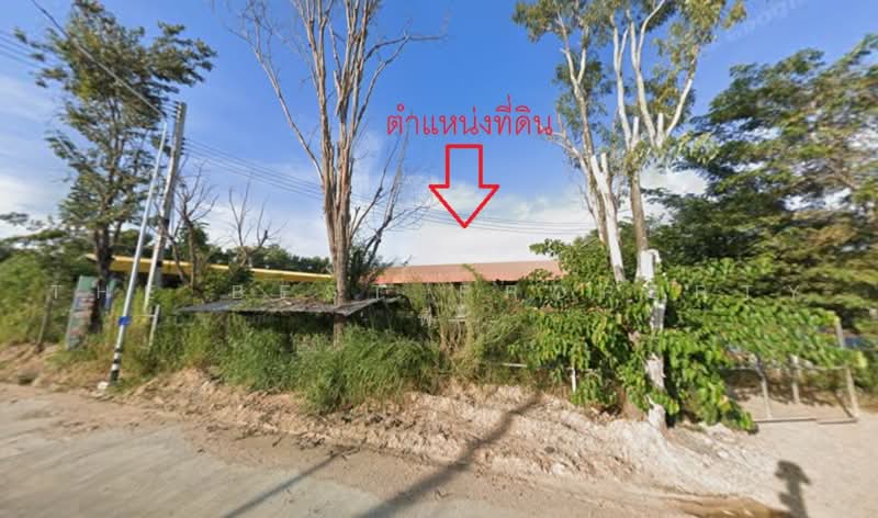 ที่ดินพนัสนิคม ชลบุรี, Chon Buri (Pattaya), Nong Pru, Phanat Nikhom, Chon Buri (Pattaya), , 4,499 sqm, Land For Sale, by The Best Property พี, 500492676 - DDproperty.com